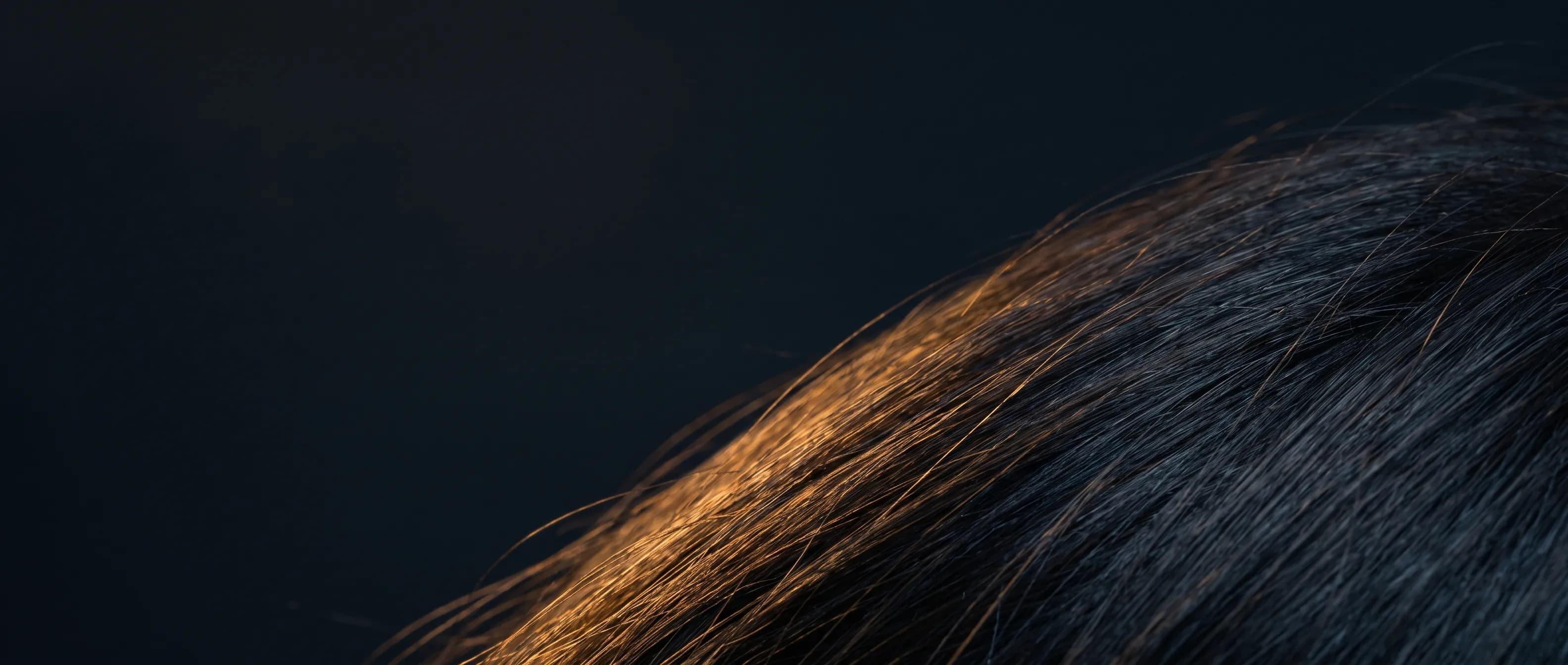 Close-up of healthy hair strands catching warm light